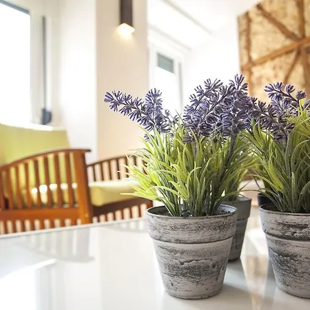 Lovelystay - Wide And Bright In Principe Real Appartement
